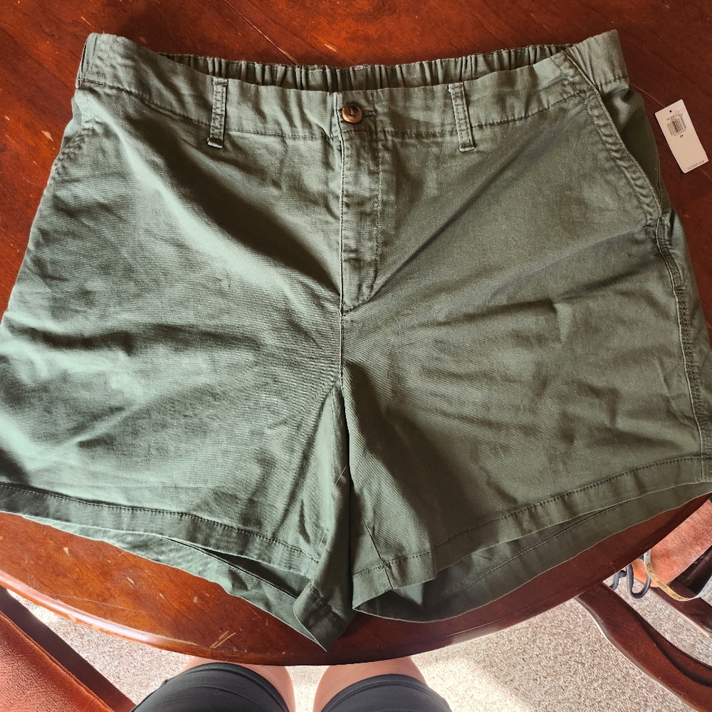 NWT Old navy green shorts